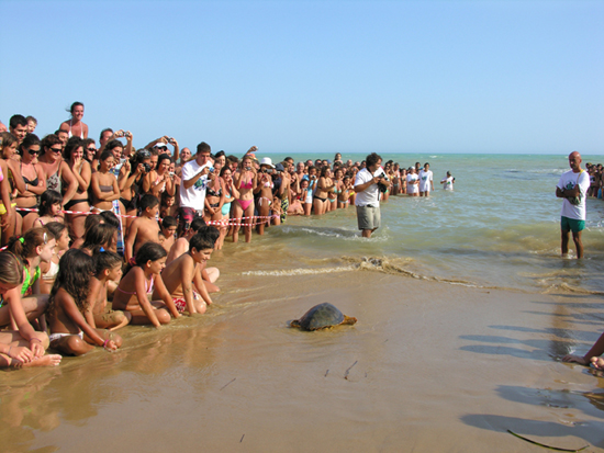 Salvataggio Caretta caretta!!